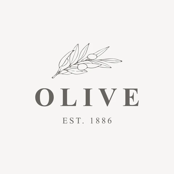 Elegant Logo template with olive branch - simple linear style — Stock Vector