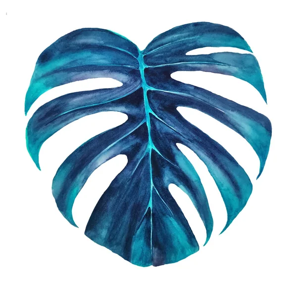 Folha de Monstera aquarela isolada em branco. — Fotografia de Stock