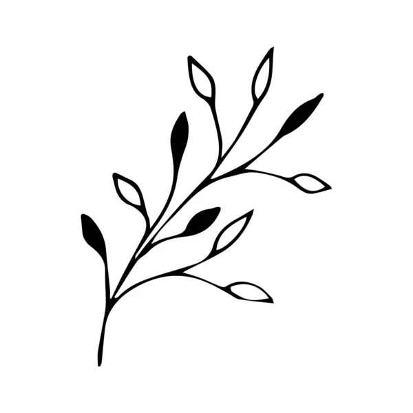 Rama vectorial dibujada a mano. Decoración botánica — Vector de stock