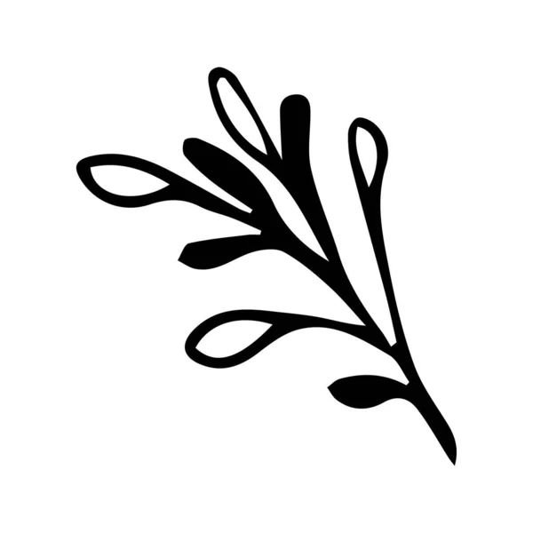 Rama vectorial dibujada a mano. Decoración botánica — Vector de stock