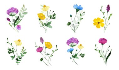 Wildflowers. Watercolor floral bouquet. Collection of wildflower bouquets. Perfect for cards posters wall art, etc. Vector illustration.