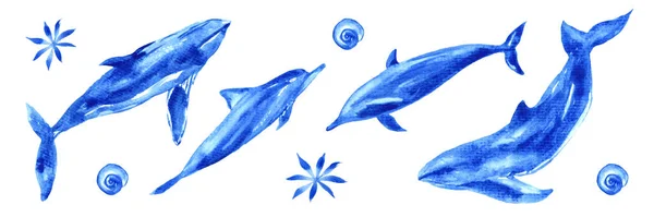 Watercolor set of ocean animals. Blue watercolor whale, dolphin, shell — стоковое фото