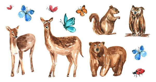Forest animals. Watercolor deers, bear, squirrel, owl, butterflies and ladybird — Stockfoto