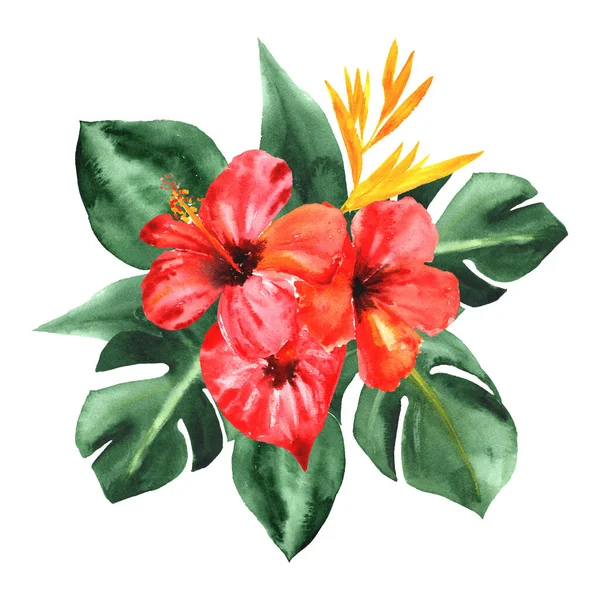 Tropik cennet. Çiçek ve yapraklarla suluboya düzenleme beyaz üzerine izole edilmiş