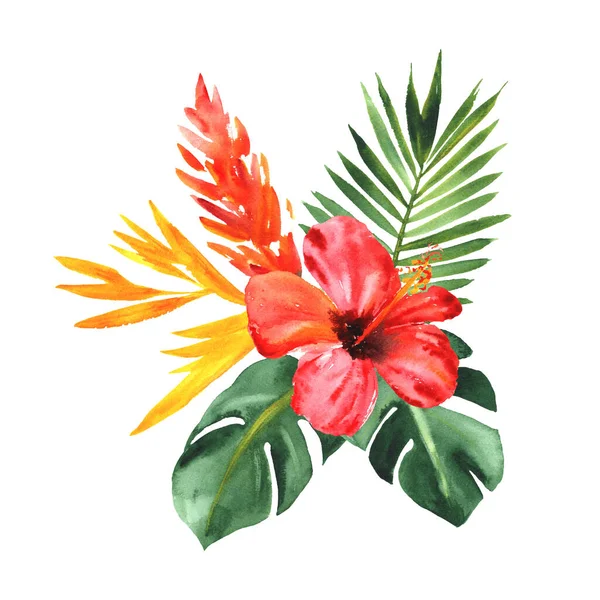 Paraíso tropical. Arranjo aquarela pintado à mão com flores e folhas isoladas em branco — Fotografia de Stock