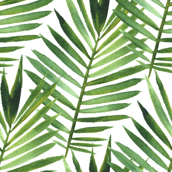 ヤシの葉。白い背景に緑のヤシの葉とシームレスなパターン。水彩画 — ストック写真