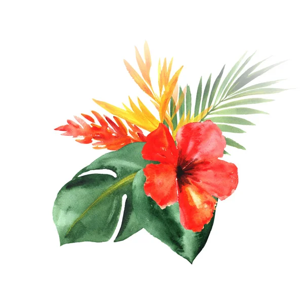 Vibrações Tropicais Arranjo Aquarela Pintado Mão Com Flores Folhas Isoladas — Fotografia de Stock