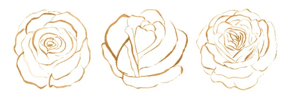 Conjunto Rosas Douradas Isoladas Sobre Branco Ilustração Aquarela Elementos Decoração — Fotografia de Stock