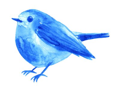 Suluboya mavi kuş beyazda izole edilmiş. Doğa tasarımı ögesi
