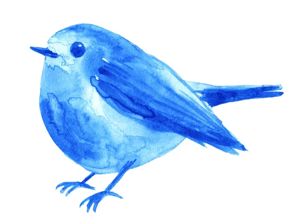 Suluboya mavi kuş beyazda izole edilmiş. Doğa tasarımı ögesi