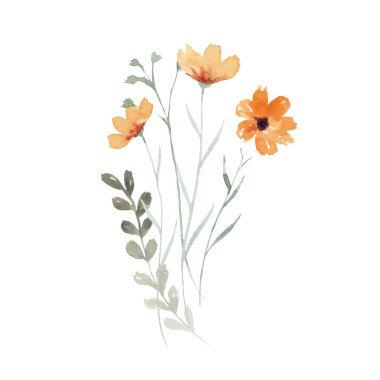 Yabani çiçekler. Suluboya buketi. Tasarımın için dekorasyon. Tebrik ve düğün kartları için mükemmel..