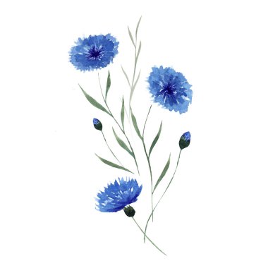 Yabani çiçekler. Suluboya buketi. Tasarımın için dekorasyon. Tebrik ve düğün kartları için mükemmel..