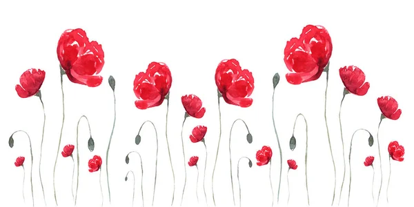 Watercolor Floral Composition Red Poppies Panoramic Horizontal Isolated Illustration Garden — Stock Photo, Image
