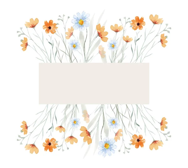 Summer Frame Wildflowers Wild Green Plants Delicate Floral Watercolor Background — Foto Stock