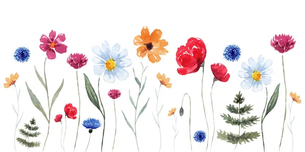Watercolor Floral Composition Colorful Wildflowers Leaves Plants Panoramic Horizontal Isolated — 스톡 사진