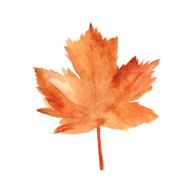 Bright orange watercolor maple leaf isolated over white background. Autumn decoration element for design.