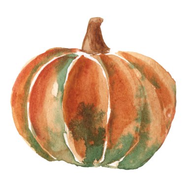 Watercolor Pumpkin isolated on white. Autumn decoration element for design. Vector illustration.
