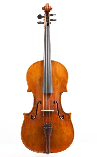 中提琴 — 图库照片