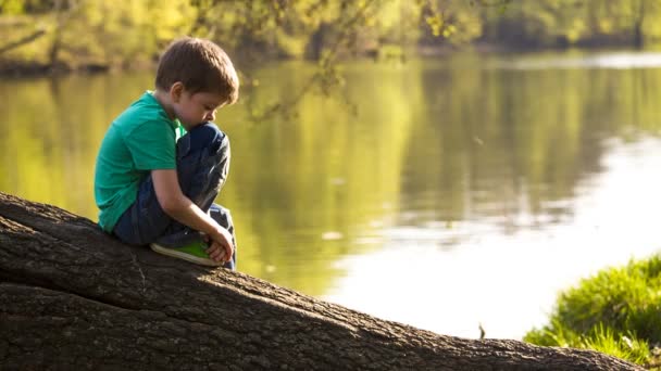 The boy at the lake — Stock Video