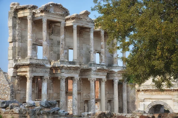 celsus, Efes Kütüphanesi
