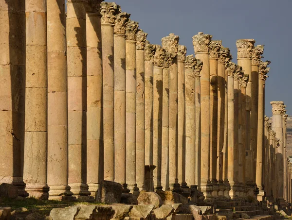 Cardo, Jerash — Zdjęcie stockowe