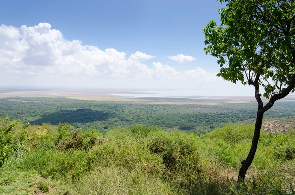 Lake Manyara, Tanzania — Stockfoto
