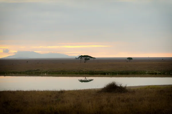 Lake Magadi, Serengeti National Park — Stock Photo, Image