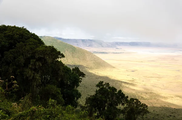 Ngorongoro krateri