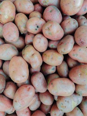 Konteynırdaki taze kırmızı patatesler yıkanmamış.