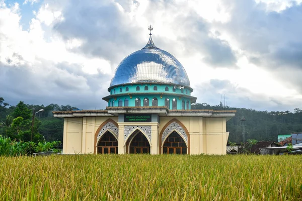Pemandangan Masjid Terhadap Berawan Dengan Latar Depan Ladang Jagung Desa — Stok Foto