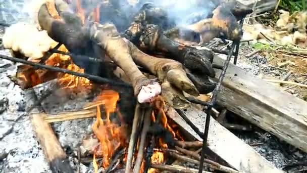 Processus Brûler Les Pieds Des Animaux Sacrifiés Après Processus Abattage — Video