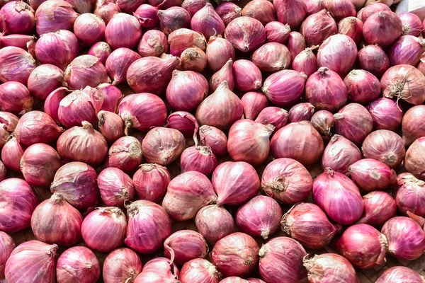 Close Red Onions — Stockfoto