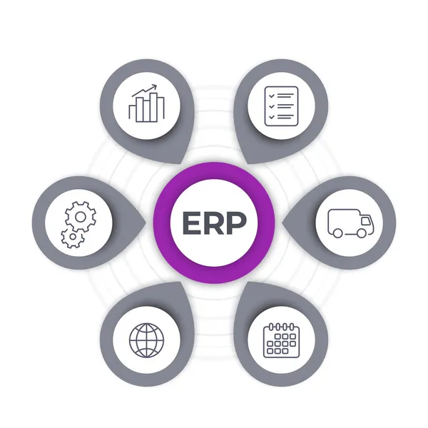 Icoane software ERP, infografice vectoriale — Vector de stoc