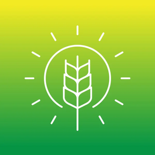 Icône de ligne de blé et de soleil, signe vectoriel — Image vectorielle