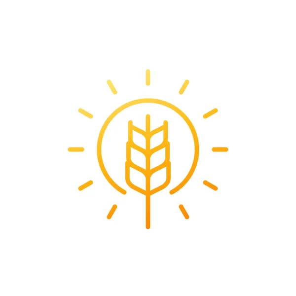 Icône de ligne de blé et de soleil sur blanc — Image vectorielle