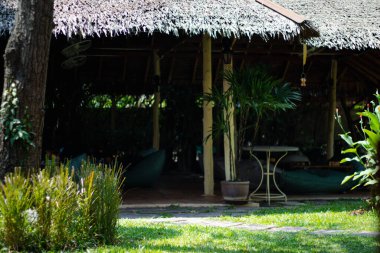 Evin önündeki eski çim arka planı..