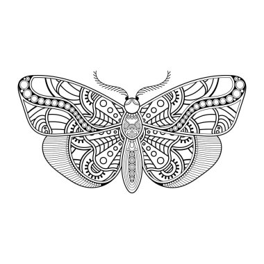 vektör kelebeği siyah beyaz element çizgi çizimi tasarımı