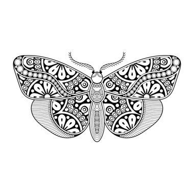 vektör kelebeği siyah beyaz element çizgi çizimi tasarımı
