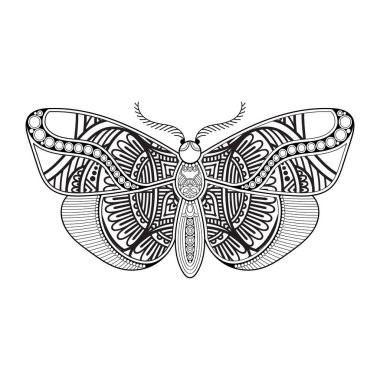 vektör kelebeği siyah beyaz element çizgi çizimi tasarımı