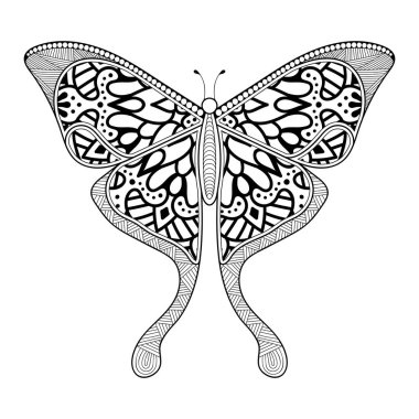 vektör kelebeği siyah beyaz element çizgi çizimi tasarımı