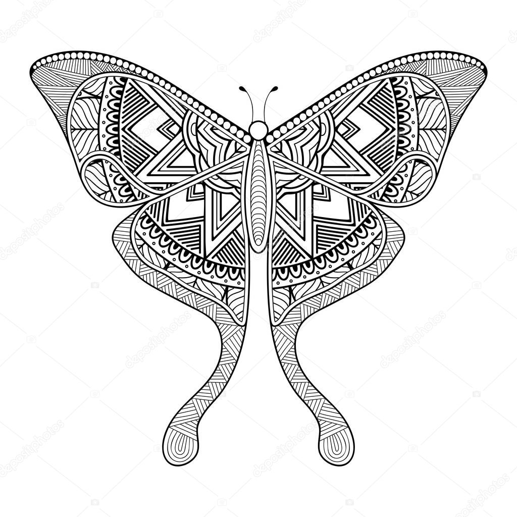vector butterfly black and white element line art print design 