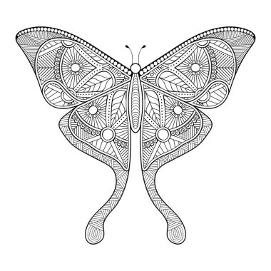 vektör kelebeği siyah beyaz element çizgi çizimi tasarımı 