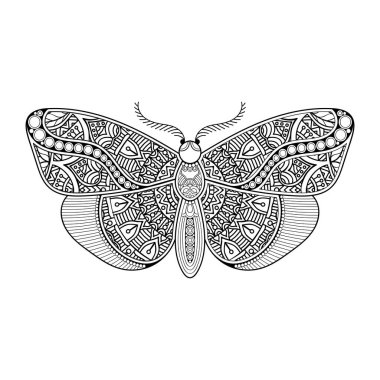 vektör kelebeği siyah beyaz element çizgi çizimi tasarımı