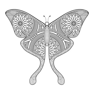 vektör kelebeği siyah beyaz element çizgi çizimi tasarımı 