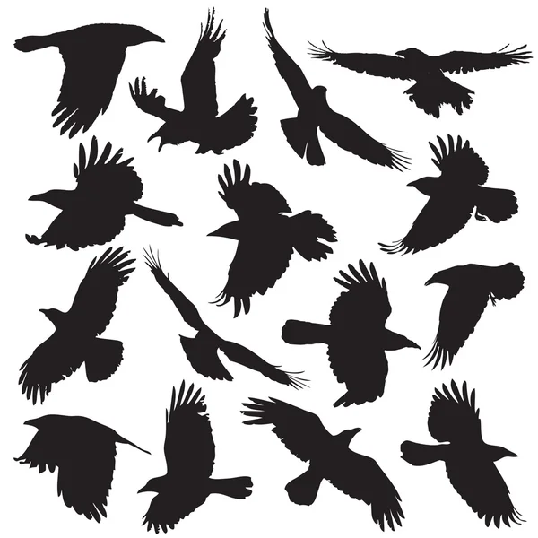 Crow silhouette set 01 — Stock Vector