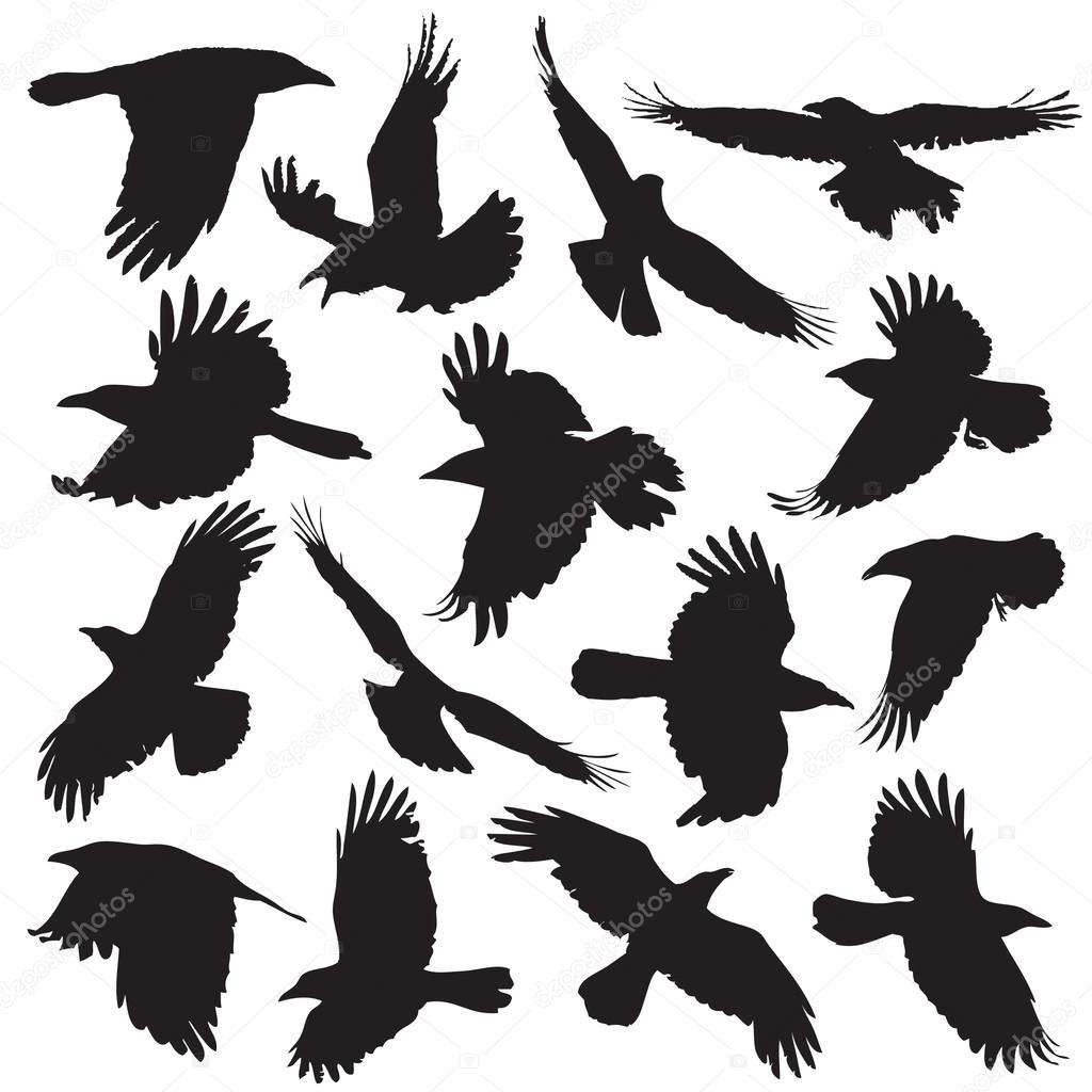 Crow silhouette set 01