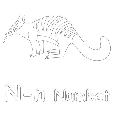 n için numbat sayfa boyama