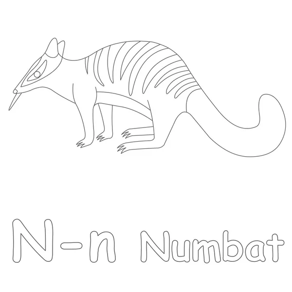 n için numbat sayfa boyama
