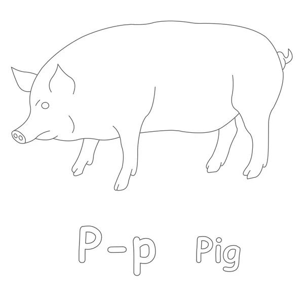 P voor varken kleurplaten pagina — Stockfoto