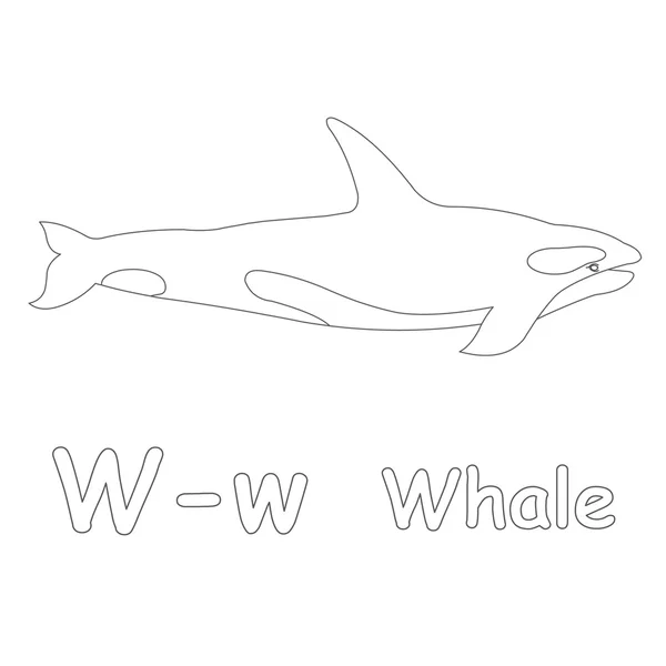 W per pagina da colorare balene — Foto Stock